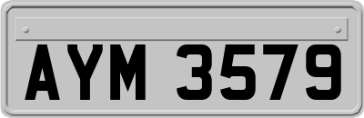 AYM3579