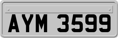 AYM3599