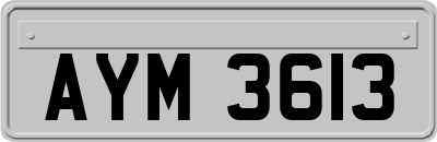 AYM3613