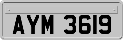 AYM3619