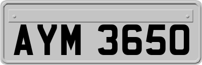 AYM3650