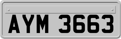 AYM3663