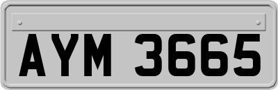AYM3665
