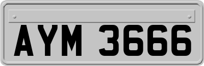 AYM3666