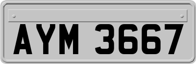 AYM3667