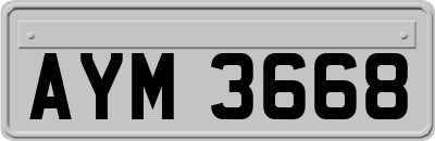 AYM3668