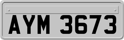 AYM3673