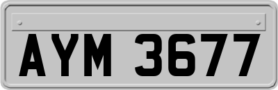 AYM3677