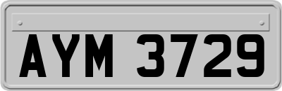 AYM3729