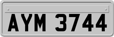 AYM3744