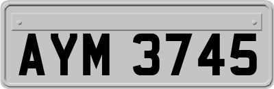 AYM3745