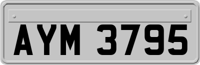AYM3795