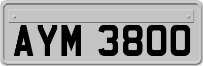AYM3800