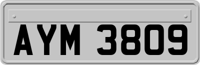 AYM3809