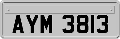 AYM3813