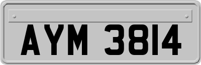 AYM3814