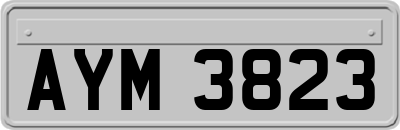 AYM3823