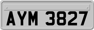 AYM3827