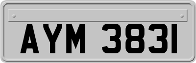 AYM3831