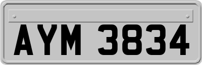 AYM3834
