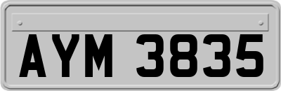 AYM3835