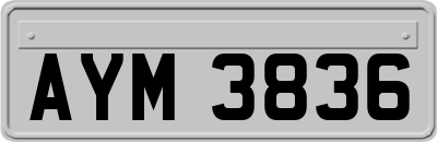 AYM3836