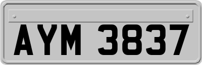 AYM3837