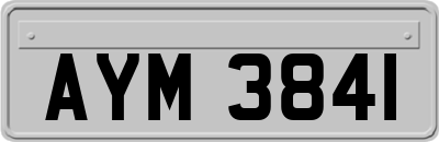 AYM3841