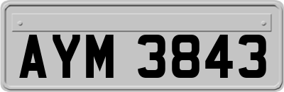 AYM3843