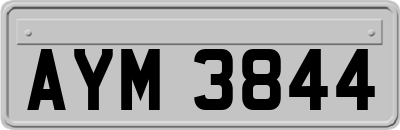 AYM3844