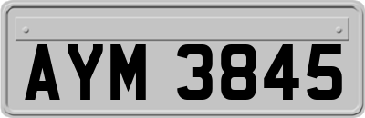 AYM3845
