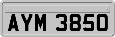 AYM3850