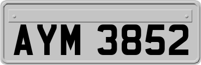 AYM3852