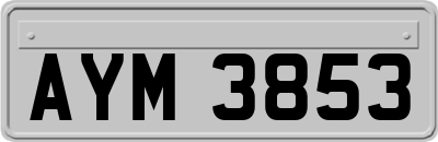 AYM3853