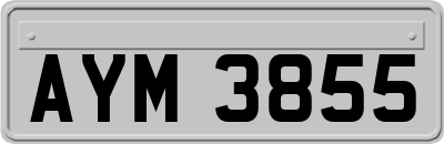 AYM3855