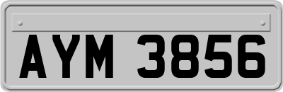 AYM3856