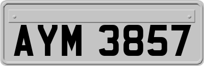 AYM3857