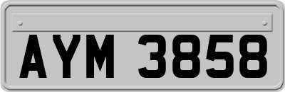 AYM3858