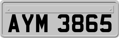 AYM3865