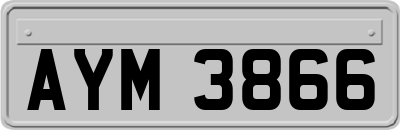 AYM3866