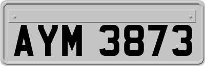 AYM3873