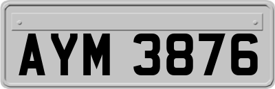 AYM3876