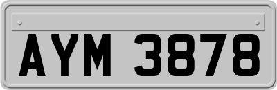 AYM3878