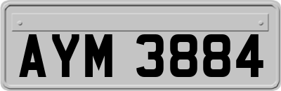 AYM3884