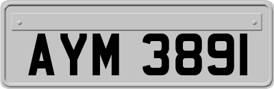 AYM3891