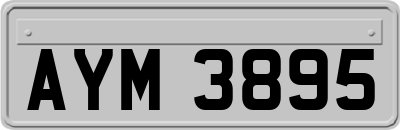AYM3895