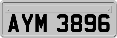 AYM3896