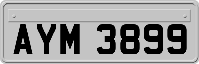 AYM3899