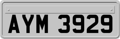 AYM3929