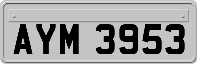 AYM3953